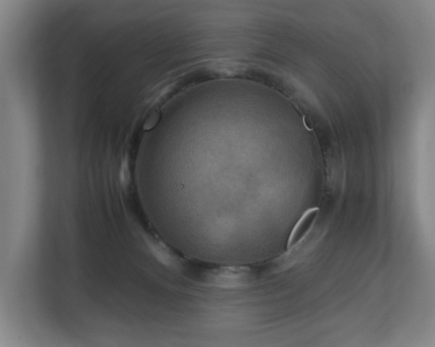 X0000111210128200907081309