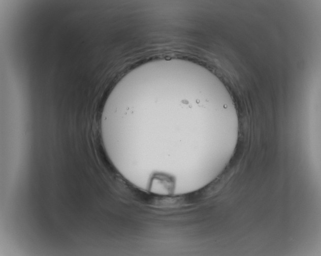 X0000111210129200907081309