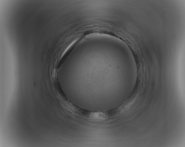 X0000111210137200907081309