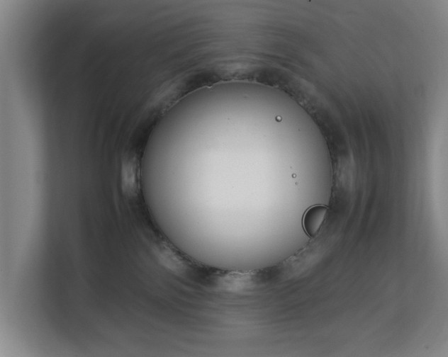 X0000111210138200907081309