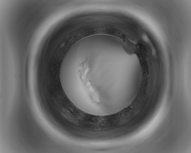 X0000111210143200907081309