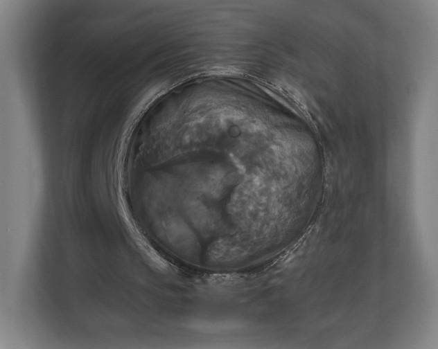 X0000111210145200907081308