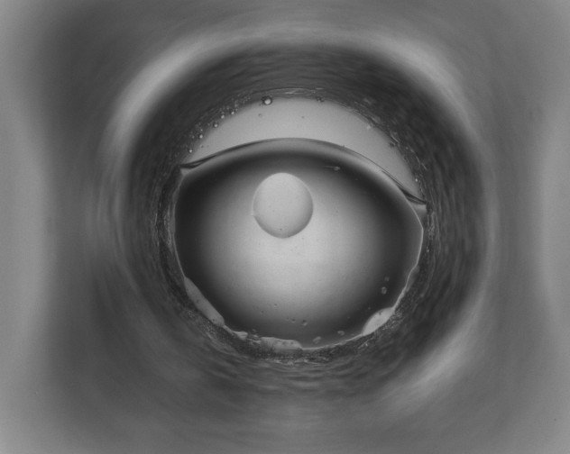 X0000111210146200907081309