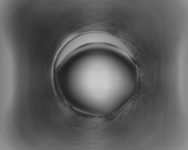 X0000111210148200907081309