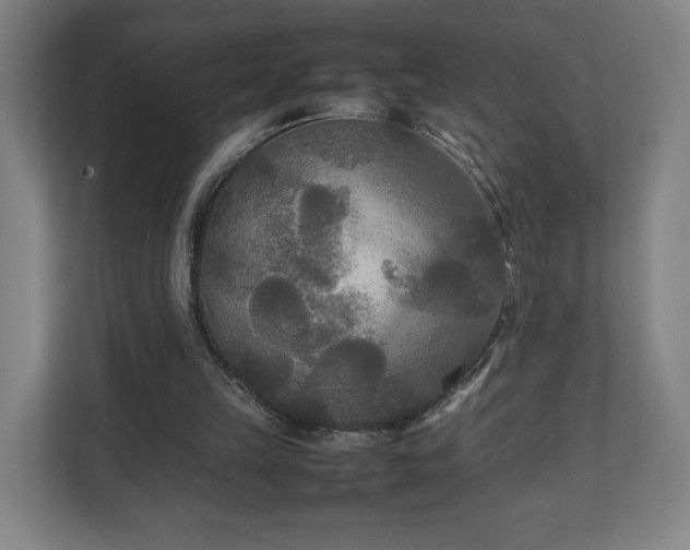 X0000111210149200907081309