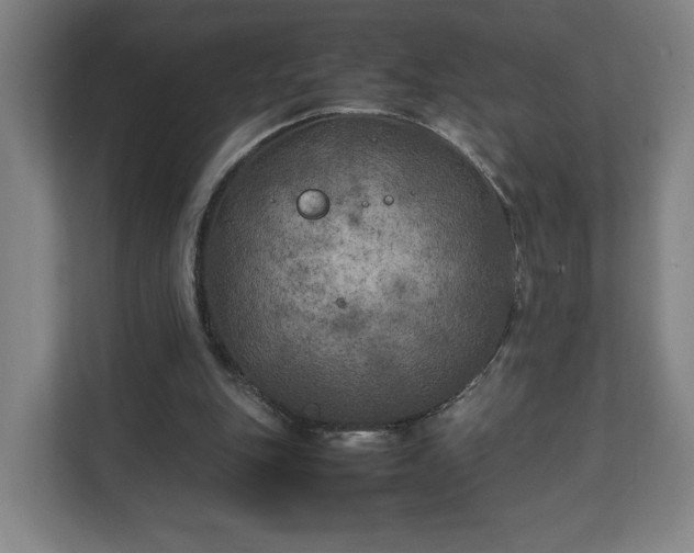 X0000111210151200907081309