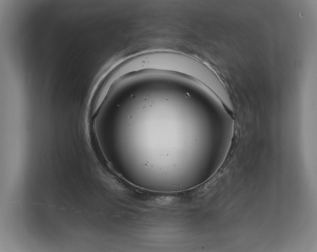 X0000111210152200907081309