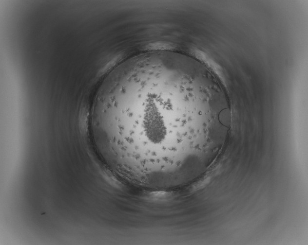 X0000111210153200907081309