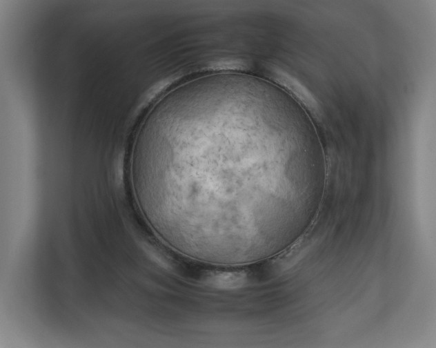 X0000111210155200907081309