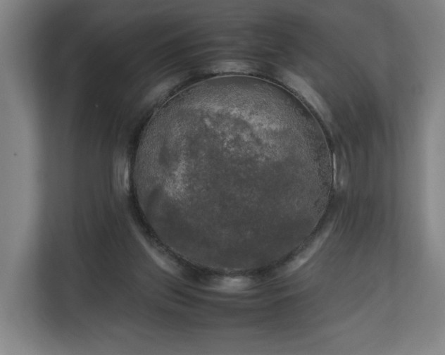 X0000111210157200907081309