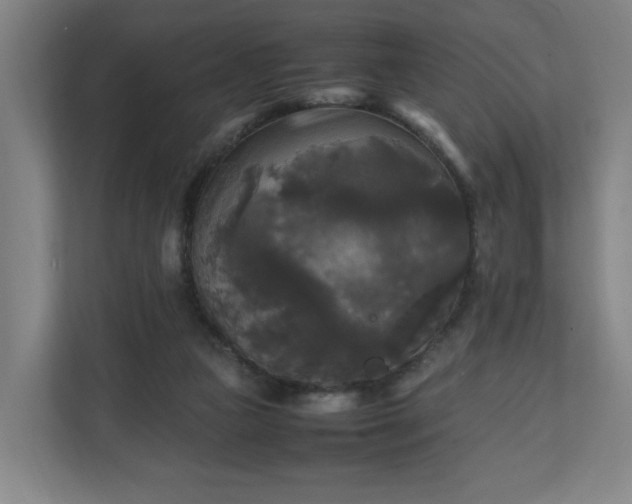 X0000111210161200907081309