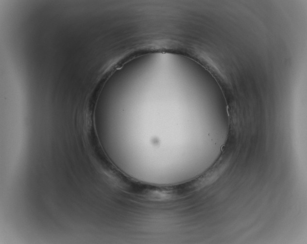 X0000111210164200907081309