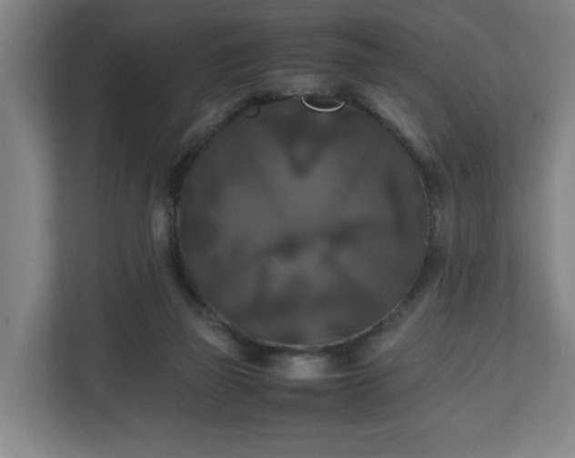 X0000111210165200907081309