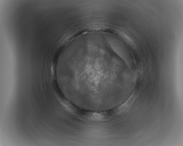 X0000111210166200907081309