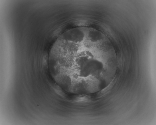 X0000111210175200907081309