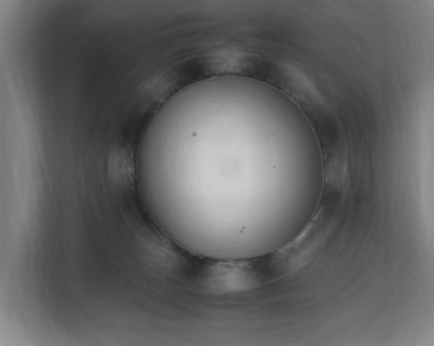 X0000111210179200907081309