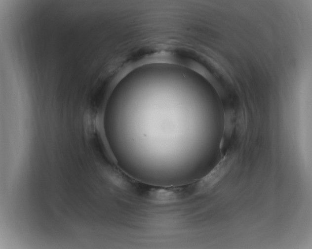 X0000111210180200907081309