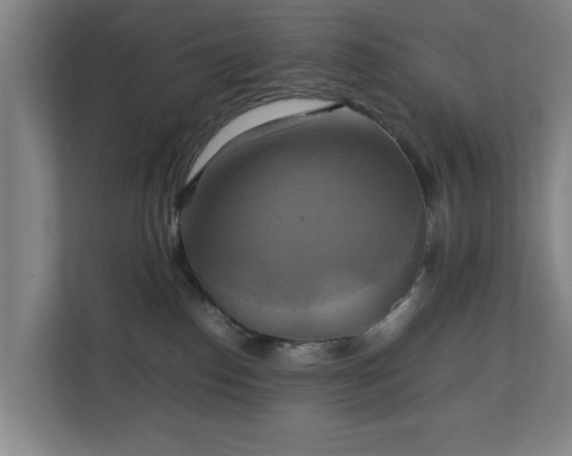 X0000111210186200907081309