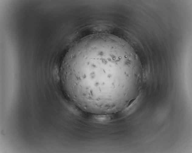 X0000111210187200907081309