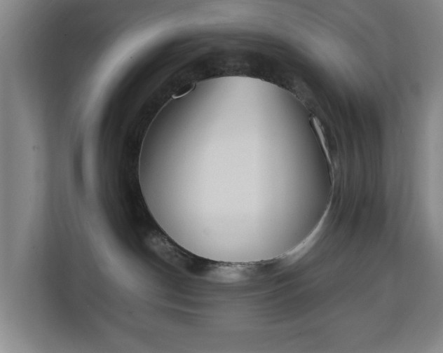 X0000111210190200907081309