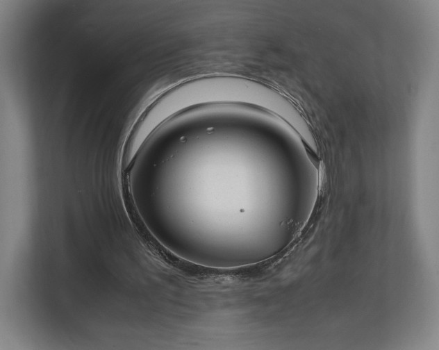 X0000111210195200907081308