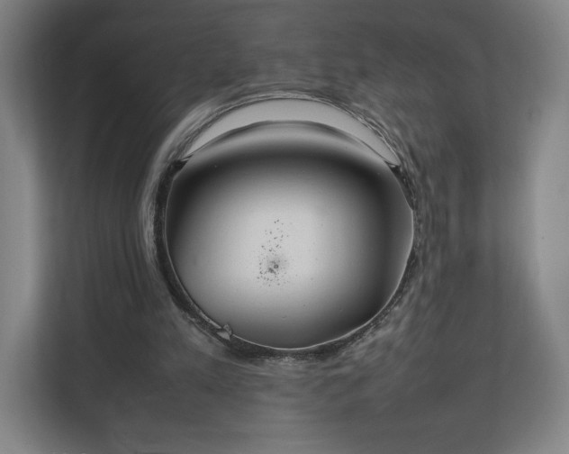 X0000111210197200907081308