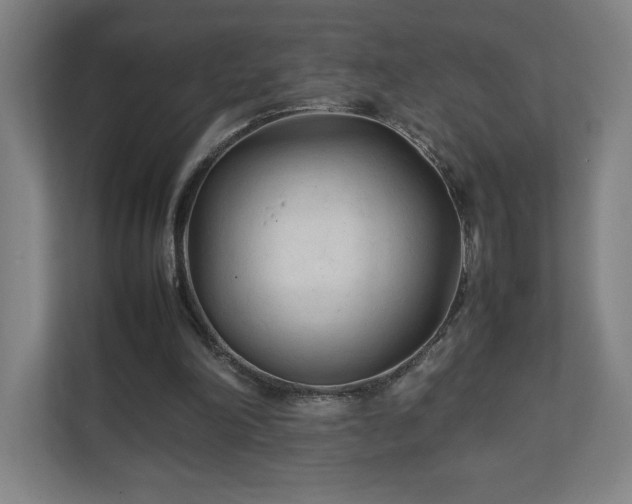 X0000111210198200907081308