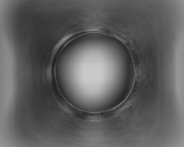 X0000111210200200907081308