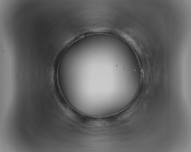 X0000111210201200907081308