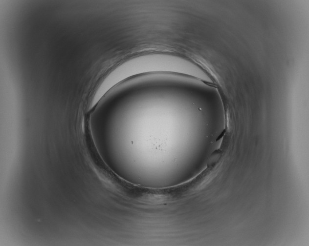 X0000111210205200907081308