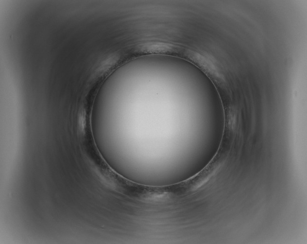 X0000111210206200907081308