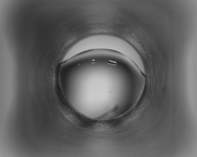 X0000111210207200907081308