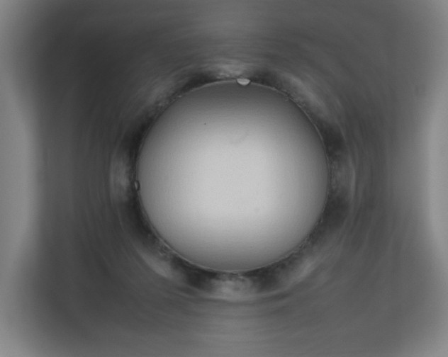 X0000111210215200907081308