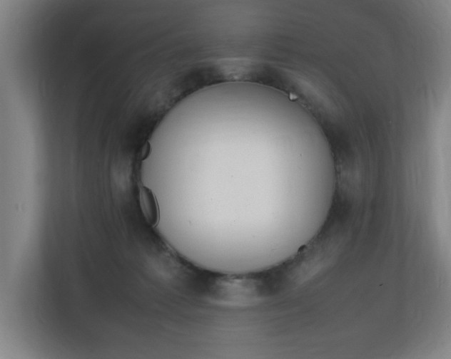 X0000111210221200907081308