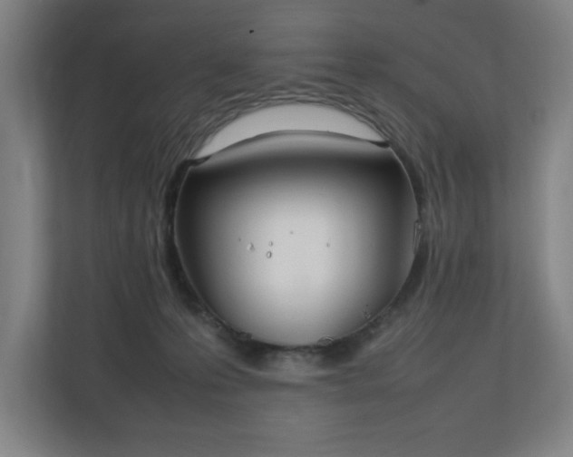 X0000111210223200907081308