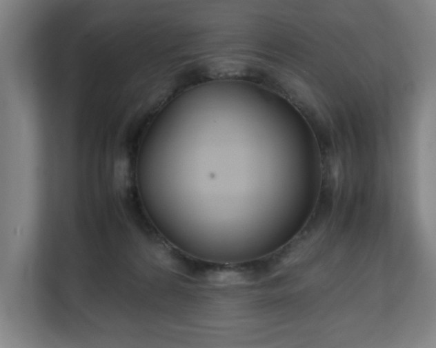 X0000111210224200907081308