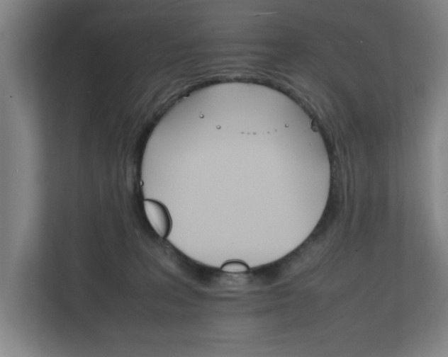 X0000111210227200907081308