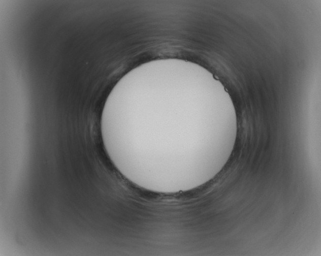 X0000111210228200907081308