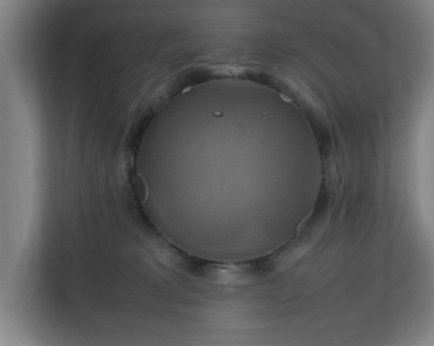 X0000111210229200907081308