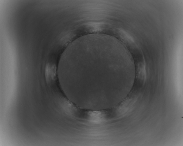 X0000111210230200907081308