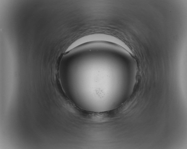 X0000111210235200907081308