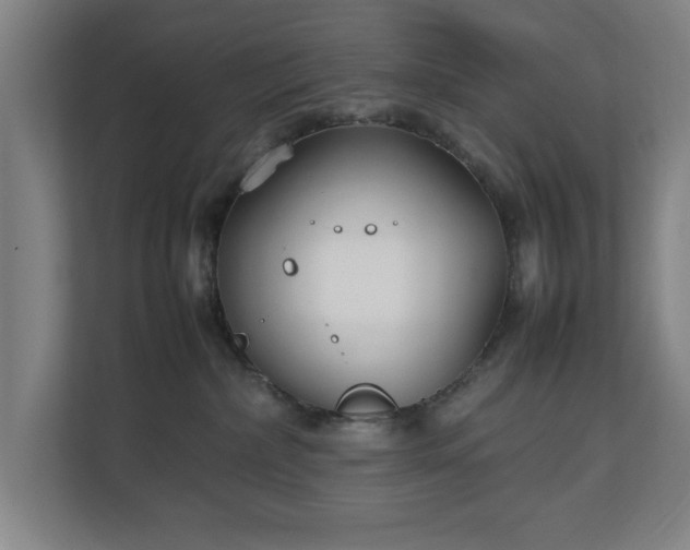 X0000111210236200907081308