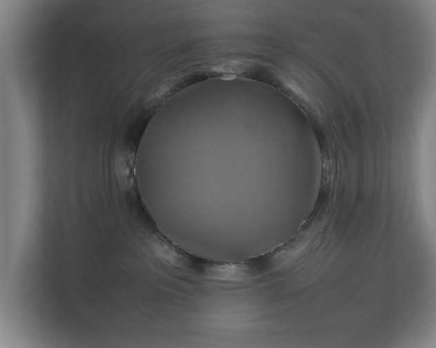 X0000111210237200907081308