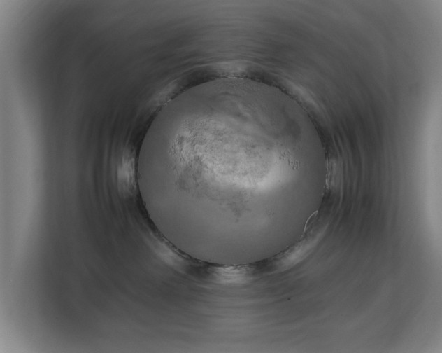 X0000111210238200907081308