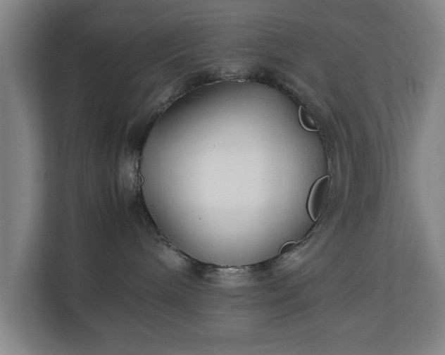 X0000111210240200907081308