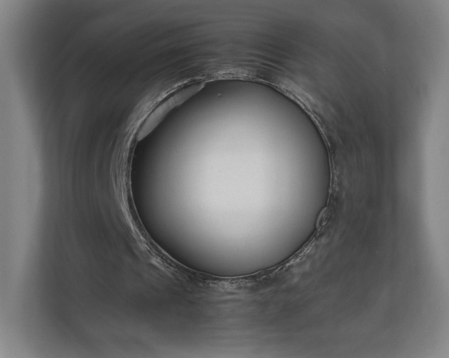 X0000111210241200907081307