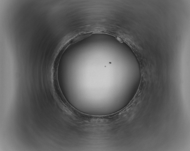 X0000111210242200907081307