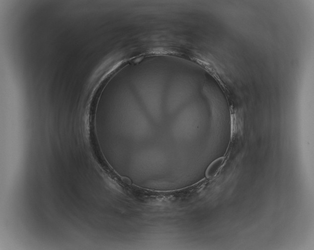 X0000111210243200907081307