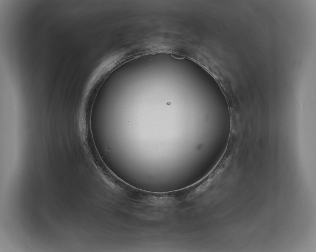 X0000111210245200907081307