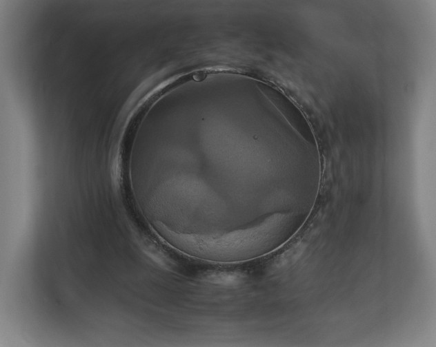 X0000111210247200907081307